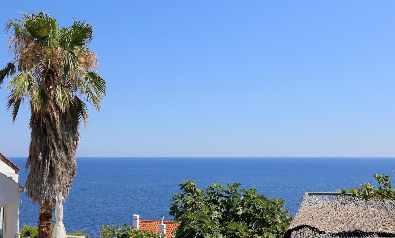 Apartment St. Blaise Dubrovnik Dış mekan fotoğraf